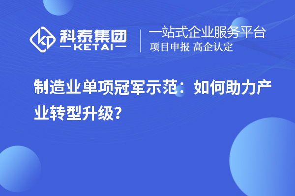 制造業(yè)單項(xiàng)冠軍示范：如何助力產(chǎn)業(yè)轉(zhuǎn)型升級？