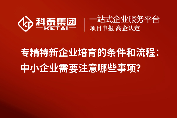 專(zhuān)精特新企業(yè)培育的條件和流程：中小企業(yè)需要注意哪些事項(xiàng)？