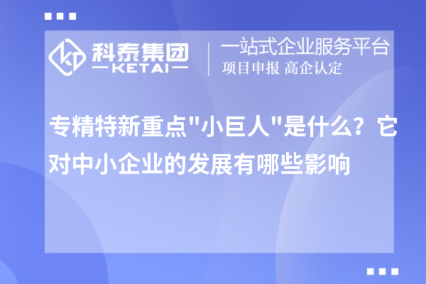 專精特新重點(diǎn)小巨人是什么？它對(duì)中小企業(yè)的發(fā)展有哪些影響