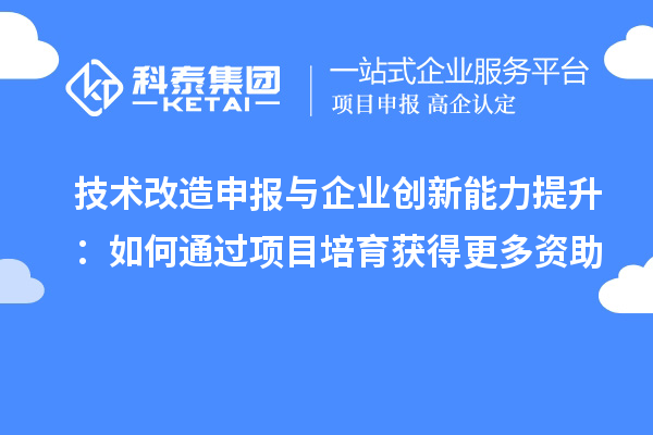 技術(shù)改造申報(bào)與企業(yè)創(chuàng)新能力提升：如何通過(guò)項(xiàng)目培育獲得更多資助