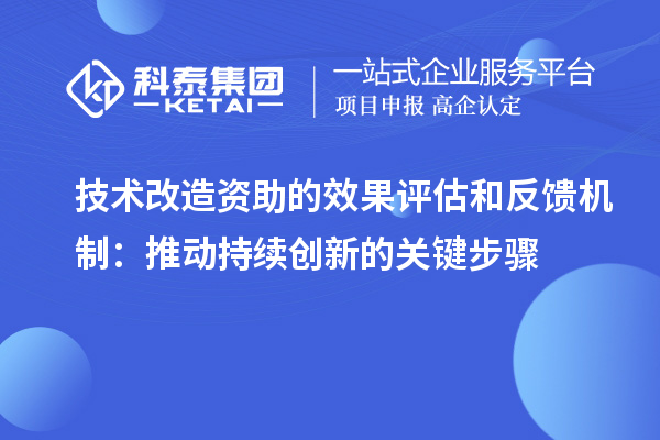 技術(shù)改造資助的效果評估和反饋機(jī)制：推動持續(xù)創(chuàng)新的關(guān)鍵步驟