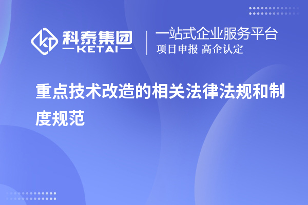 重點技術改造所涉及的法律法規(guī)和制度規(guī)范：解析與應用指南		 		