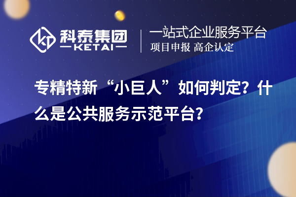 專精特新“小巨人”如何判定？什么是公共服務(wù)示范平臺？