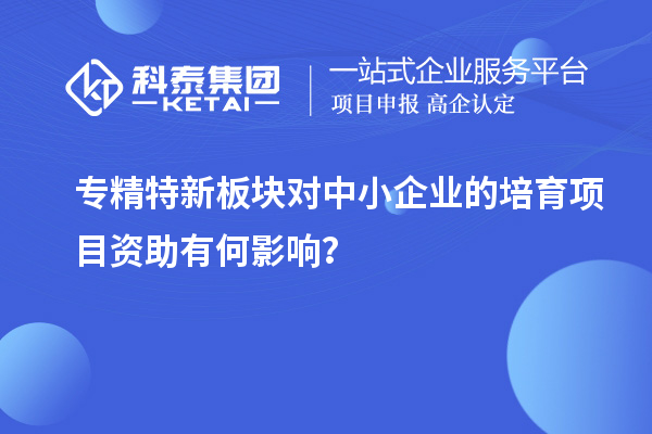 專精特新板塊對(duì)中小企業(yè)的培育項(xiàng)目資助有何影響？