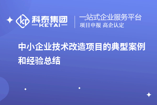 中小企業(yè)技術(shù)改造項(xiàng)目的典型案例和經(jīng)驗(yàn)總結(jié)