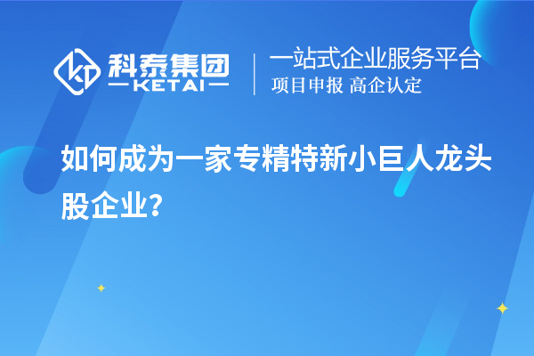 如何成為一家專精特新小巨人龍頭股企業(yè)？