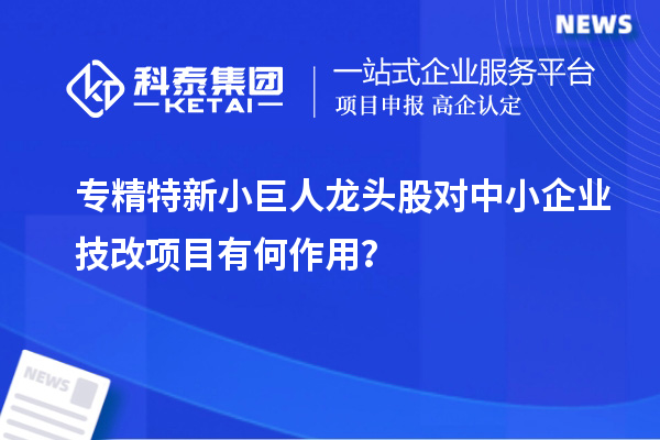 專精特新小巨人龍頭股對(duì)中小企業(yè)技改項(xiàng)目有何作用？