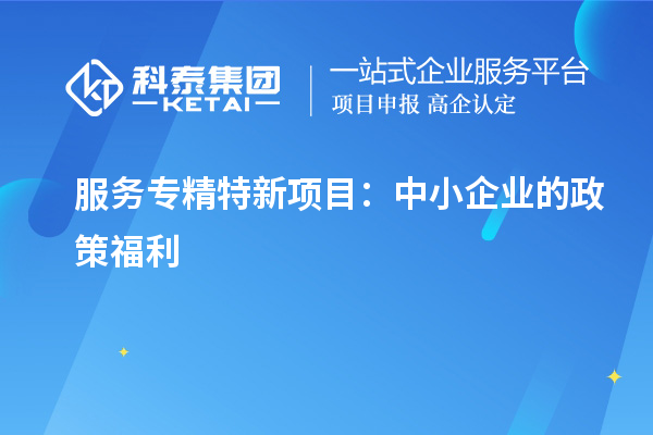 服務專精特新項目：中小企業(yè)的政策福利