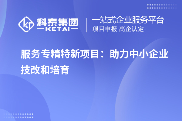 服務(wù)專精特新項目：助力中小企業(yè)技改和培育