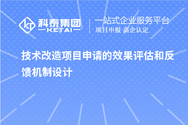 技術(shù)改造項(xiàng)目申請的效果評估和反饋機(jī)制設(shè)計(jì)