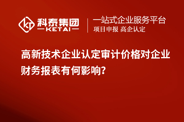 高新技術(shù)企業(yè)認(rèn)定審計(jì)價(jià)格對(duì)企業(yè)財(cái)務(wù)報(bào)表有何影響？