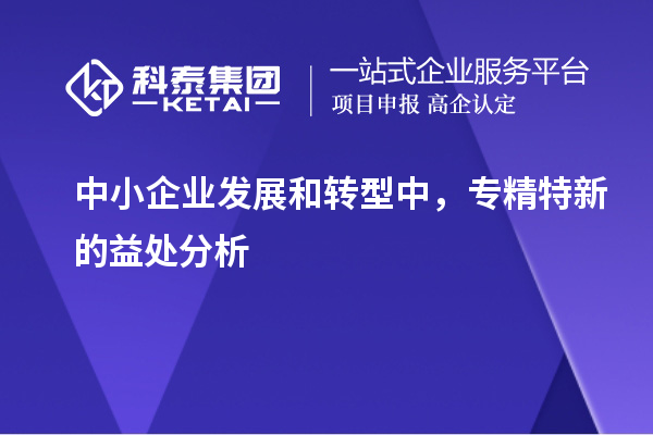 中小企業(yè)發(fā)展和轉(zhuǎn)型中，專精特新的益處分析		 		