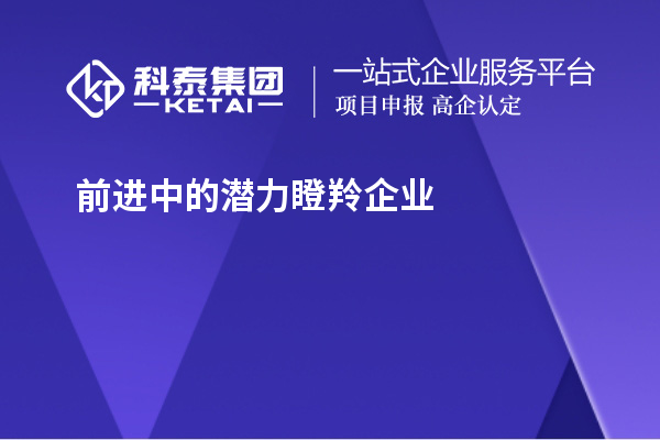 前進(jìn)中的潛力瞪羚企業(yè)