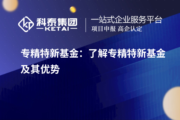 專精特新基金：了解專精特新基金及其優(yōu)勢(shì)