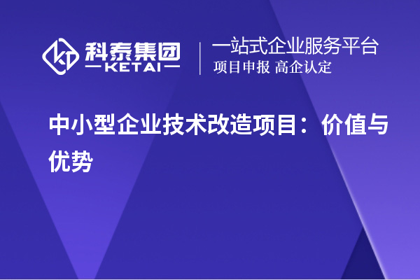 中小型企業(yè)技術(shù)改造項(xiàng)目：價(jià)值與優(yōu)勢	 		