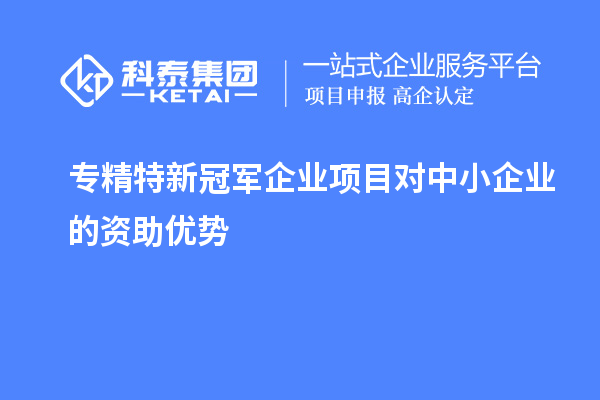 專精特新冠軍企業(yè)項(xiàng)目對(duì)中小企業(yè)的資助優(yōu)勢(shì)