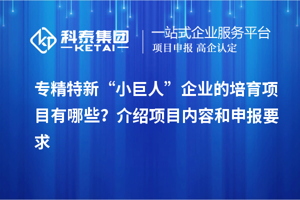 專精特新“小巨人”企業(yè)的培育項(xiàng)目有哪些？介紹項(xiàng)目內(nèi)容和申報(bào)要求