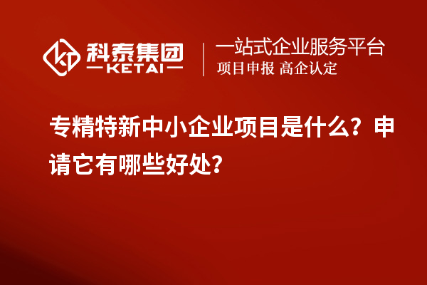 專精特新中小企業(yè)項(xiàng)目是什么？申請(qǐng)它有哪些好處？