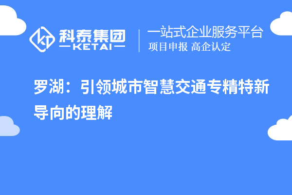 羅湖：引領(lǐng)城市智慧交通專精特新導(dǎo)向的理解