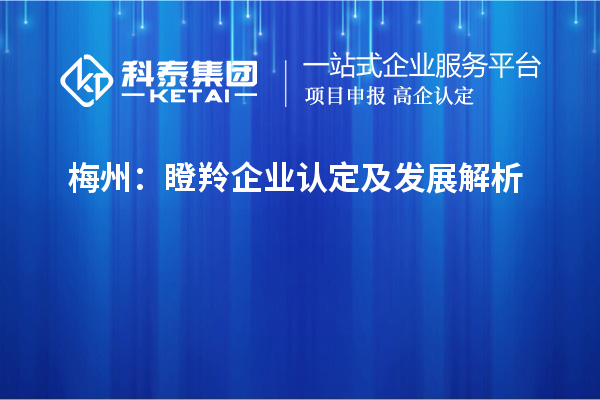 梅州：瞪羚企業(yè)認定及發(fā)展解析