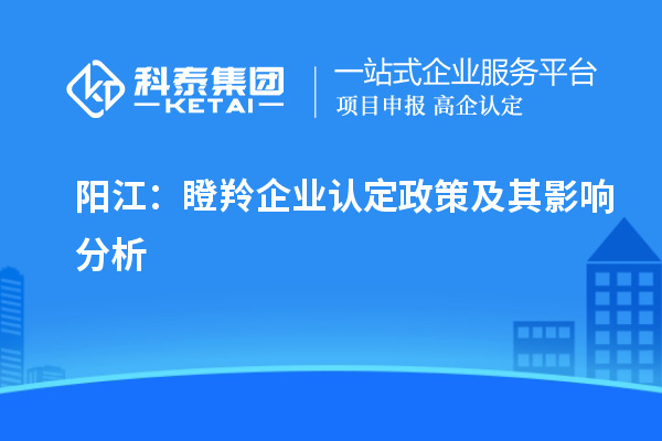 陽江：瞪羚企業(yè)認(rèn)定政策及其影響分析