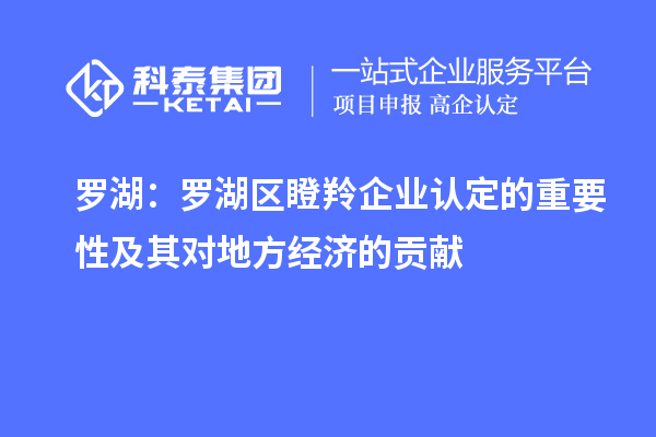 羅湖：羅湖區(qū)瞪羚企業(yè)認(rèn)定的重要性及其對地方經(jīng)濟(jì)的貢獻(xiàn)