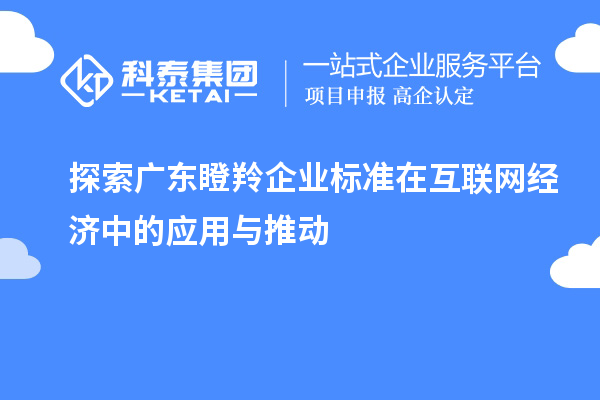 探索廣東瞪羚企業(yè)標(biāo)準(zhǔn)在互聯(lián)網(wǎng)經(jīng)濟(jì)中的應(yīng)用與推動