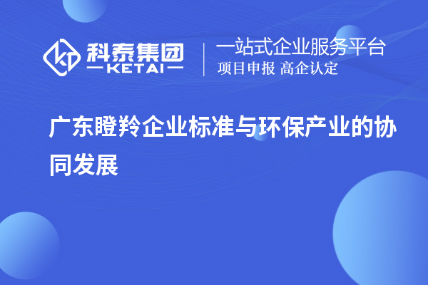 廣東瞪羚企業(yè)標準與環(huán)保產(chǎn)業(yè)的協(xié)同發(fā)展