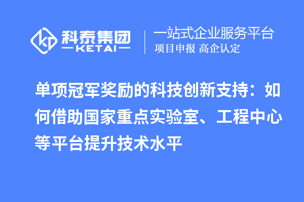 單項冠軍獎勵的科技創(chuàng)新支持：如何借助國家重點實驗室、工程中心等平臺提升技術水平