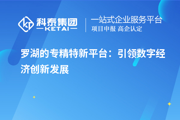 羅湖的專精特新平臺(tái)：引領(lǐng)數(shù)字經(jīng)濟(jì)創(chuàng)新發(fā)展