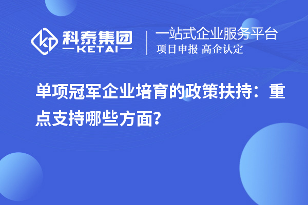 單項(xiàng)冠軍企業(yè)培育的政策扶持：重點(diǎn)支持哪些方面？