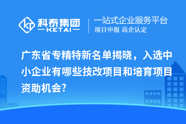 廣東省專精特新名單揭曉，入選中小企業(yè)有哪些技改項(xiàng)目和培育項(xiàng)目資助機(jī)會(huì)?