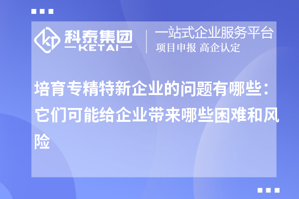 培育專精特新企業(yè)的問題有哪些：它們可能給企業(yè)帶來哪些困難和風(fēng)險(xiǎn)