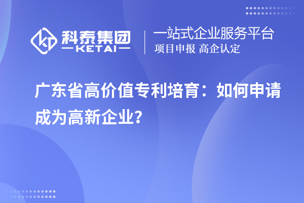 廣東省高價值專利培育：如何申請成為高新企業(yè)？