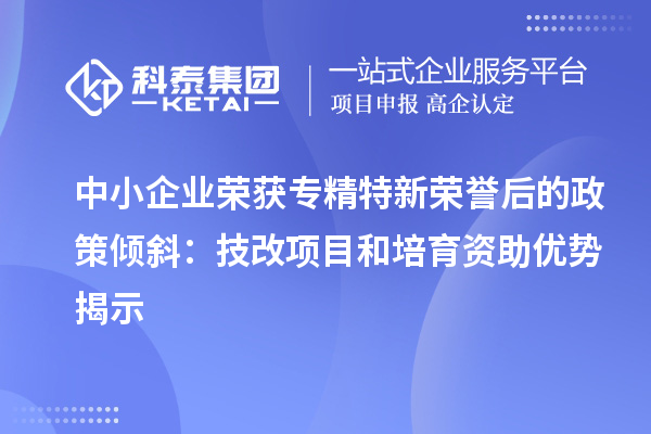 中小企業(yè)榮獲專精特新榮譽后的政策傾斜：<a href=http://armta.com/fuwu/jishugaizao.html target=_blank class=infotextkey>技改</a>項目和培育資助優(yōu)勢揭示