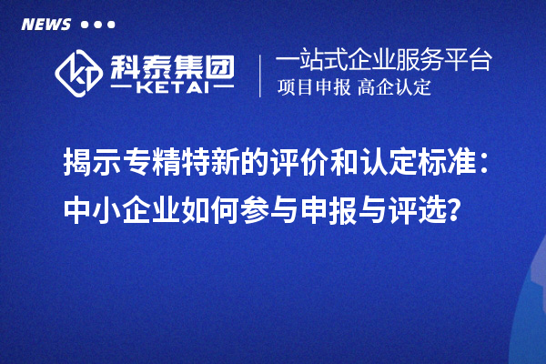 揭示專精特新的評價和認定標準：中小企業(yè)如何參與申報與評選？