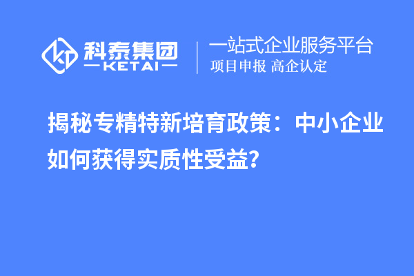 揭秘專精特新培育政策：中小企業(yè)如何獲得實(shí)質(zhì)性受益？