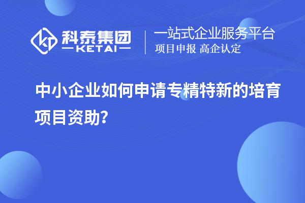 中小企業(yè)如何申請專精特新的培育項目資助？