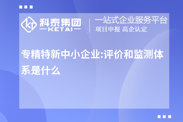 專精特新中小企業(yè):評(píng)價(jià)和監(jiān)測(cè)體系是什么