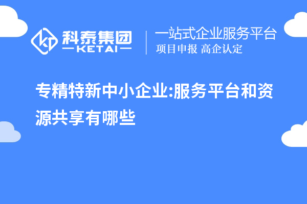 專精特新中小企業(yè):服務平臺和資源共享有哪些