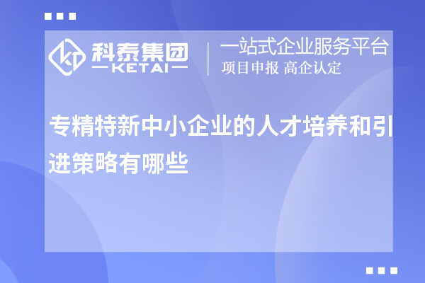 專精特新中小企業(yè)的人才培養(yǎng)和引進策略有哪些