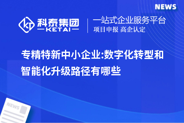 專精特新中小企業(yè):數(shù)字化轉(zhuǎn)型和智能化升級(jí)路徑有哪些