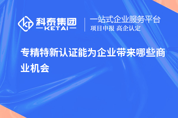 專精特新認(rèn)證能為企業(yè)帶來哪些商業(yè)機會