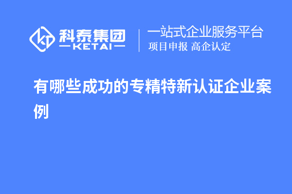 有哪些成功的專精特新認(rèn)證企業(yè)案例