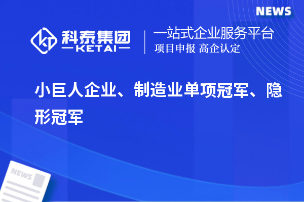 小巨人企業(yè)、制造業(yè)單項冠軍、隱形冠軍