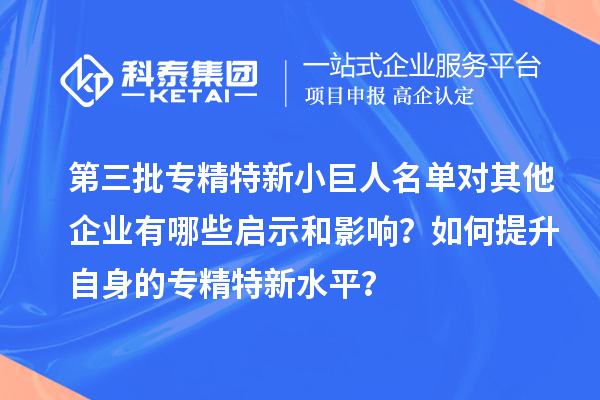 第三批專精特新小巨人名單對(duì)其他企業(yè)有哪些啟示和影響？如何提升自身的專精特新水平？