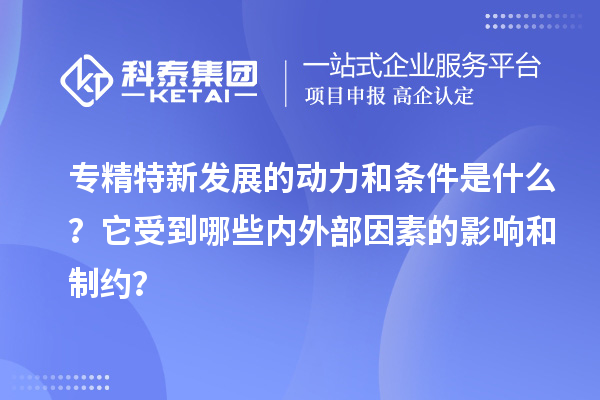 專精特新發(fā)展的動力和條件是什么？它受到哪些內(nèi)外部因素的影響和制約？