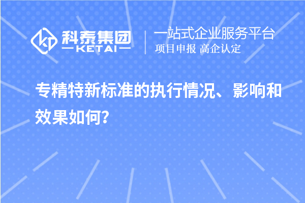 專精特新標(biāo)準(zhǔn)的執(zhí)行情況、影響和效果如何？