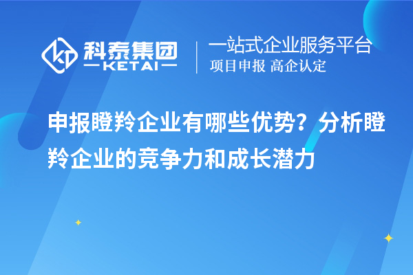 申報瞪羚企業(yè)有哪些優(yōu)勢？分析瞪羚企業(yè)的競爭力和成長潛力