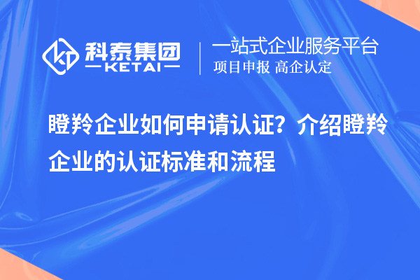 瞪羚企業(yè)如何申請認(rèn)證？介紹瞪羚企業(yè)的認(rèn)證標(biāo)準(zhǔn)和流程